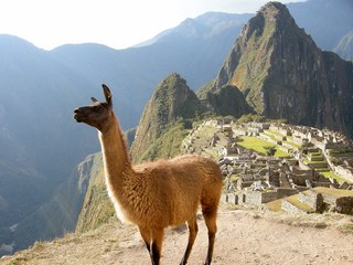 machupichu (34).jpg